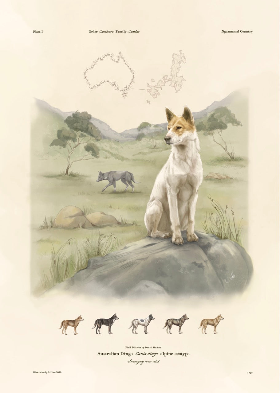 Alpine dingo print
