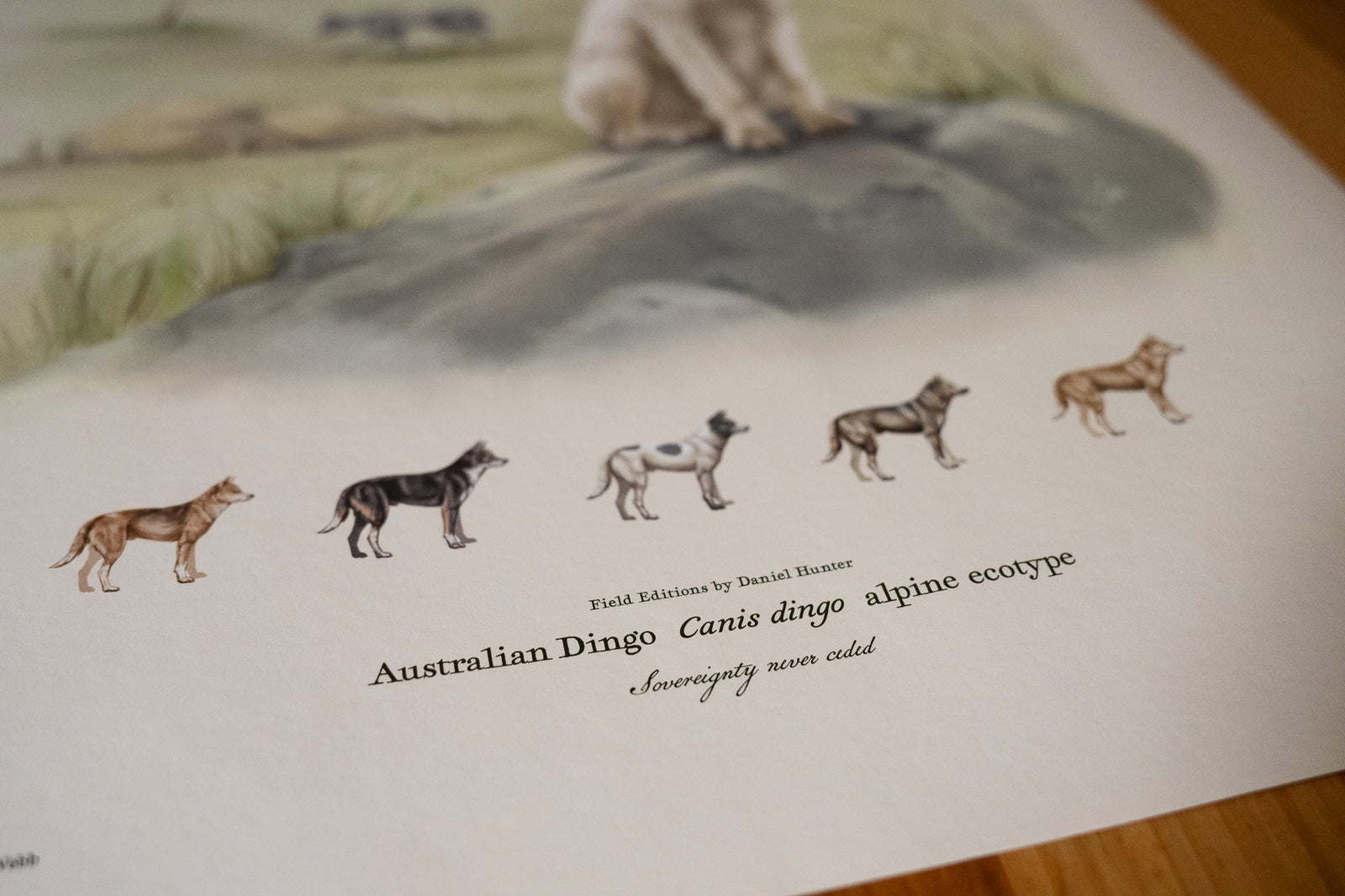Alpine dingo print