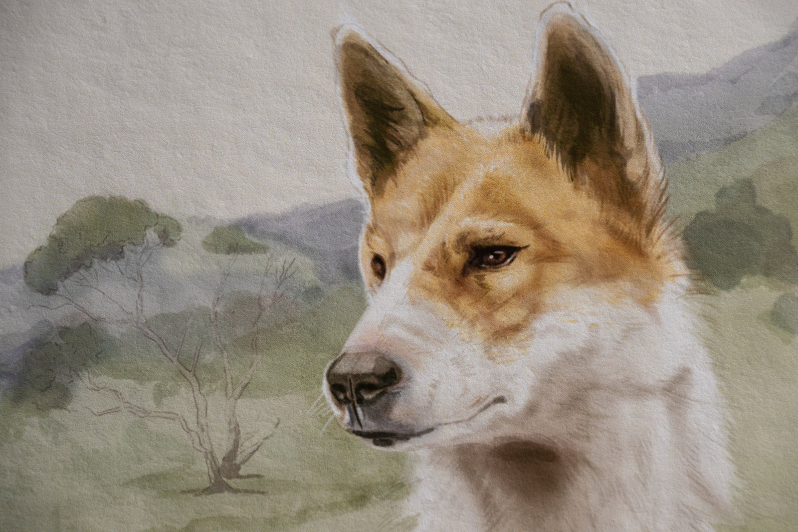 Alpine dingo print